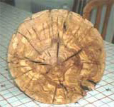 Image of burl plate